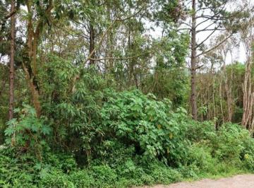 Rural · 3000m² · Terreno em São Lourenço da Serra