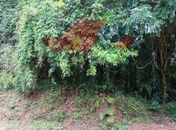 Rural · 3000m² · Terreno em São Lourenço da Serra