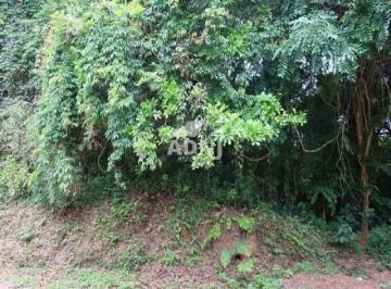 Rural · 3000m² · Terreno em São Lourenço da Serra