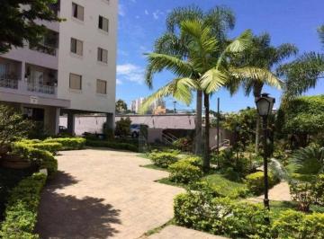 e08da77ad64af17445367df877cd297cc49c0f32 · Apartamento com 3 dormitórios à venda, 65 m² por R$ 350.000 - Vila Baeta Neves - São Bernardo do Cam