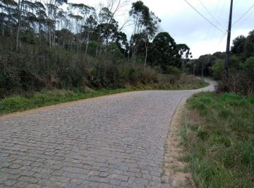 Rural , Bocaiúva do Sul · Área com 20 mil m² próximo do Centro de Bocaiúva do Sul com Luz e Água