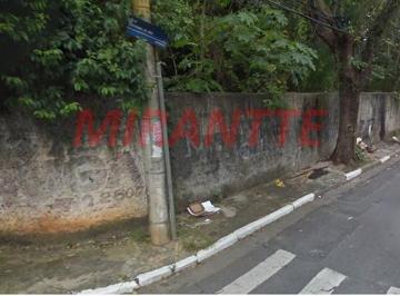 1d082ca754d2a8fe12732b48898f0e5e.jpg · Terreno de 2500m²