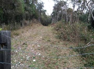 Rural de 1 quarto, Bocaiúva do Sul · Chácara Roda d'água Bocaiúva do Sul no Alto da Montanha 184.000 m² com Nascente