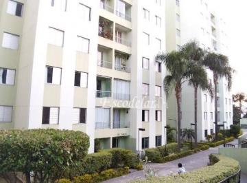 f497039cc93a99cd45c3f2df5434672bb52d0785 · Apartamento com 2 dormitórios à venda, 50 m² por R$ 318.000,00 - Vila Amélia - São Paulo/SP