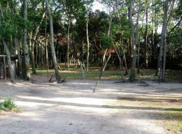 14715_i32rp23p0v1u4PoY1PV9s_147155afd7faa8dbdd.jpg · Terreno - Fazenda Santo Antonio - Cód.: 14715