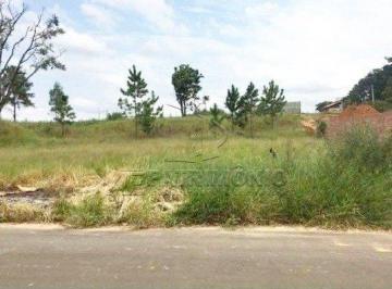 63315_ip4l0X_633155d235d9432388.jpg · TERRENO, Bairro Novo Horizonte