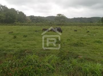 Foto 01 · Fazenda localizada em Registro-SP com 88 alqueires totais, sendo 70 alqueires em pasto, ideal para