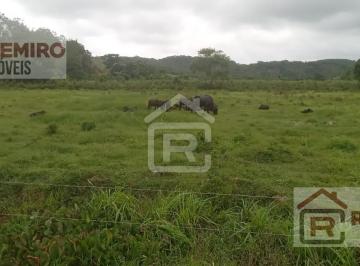 Foto 01 · Fazenda localizada em Registro-SP com 88 alqueires totais, sendo 70 alqueires em pasto, ideal para