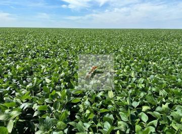 5e9e24f747dca8924770e481a891c5282da648ab · Fazenda com 3 dormitórios à venda, 1355200 m² por R$ 14.000.000,00 - Centro - Lapa/PR