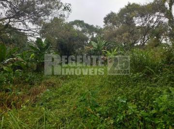 6772_iA4001Pr87a7_67725d2cbf5391247_md.jpg · Imoveis - em Pantanal