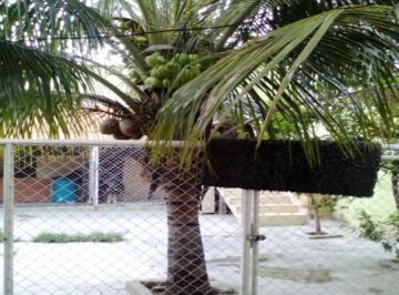71352411.jpg · CASA - JARDIM TROPICAL
