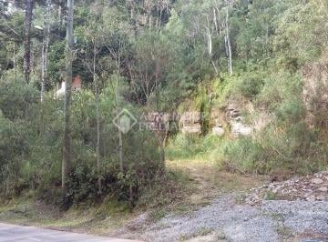 298604_iQLWi14d37GfPFMp_2986045d3c97f772582.jpg · Terreno no bairro Floresta