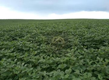 c885426e4d3e9c11054460202739a2167a152343 · Fazenda à venda, 3000800 m² - Centro - Candói/PR