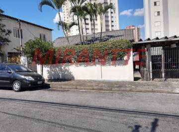 836cea2f57492aadc0c26d551439d52f.jpg · Terreno