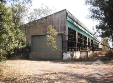 5b2e6a982f115d38bc517002b42da56ddda540e8 · Galpão para alugar, 6000 m² - Cecap - Taubaté/SP