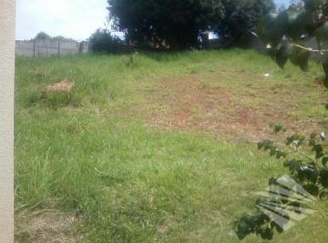 b987322618f9198f01d9c1dea69db9c5e87d2958 · Terreno à venda, 470 m² - Estrada Nova Taubaté - Tremembé/SP