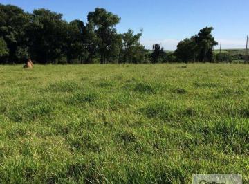 c0b2697ce2b2f58e501ca702d18404d0ae0b3504 · Área à venda, 20000 m² por R$ 900.000,00 - Boituville - Boituva/SP