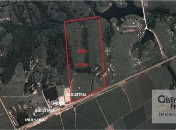 a414d7baa5f4d5d97436253c30606edf86bcc412 · Área à venda, 40000 m² por R$ 4.000.000,00 - Centro - Boituva/SP