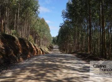 ff4b8c018af30faacd48d76ce9885f7d256dd2ed · Fazenda à venda, 2420000 m², por R$ 5.500.000 - Bairro dos Cravos - Guapiara/SP