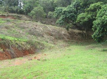 Terreno com boa metragem, localizado em Pinhalzinho SP. · Terreno com boa metragem, localizado em Pinhalzinho SP.
