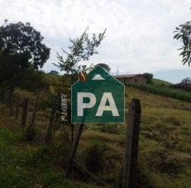6194_iK6gSDSM4_619468b5d4afe7261.jpg · Imoveis - em Caldas