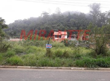 98e25f725059b5138e93abc374d89add.jpg · Terreno