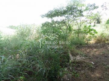 Foto 01 · Terreno, Barão Geraldo, Campinas, SP