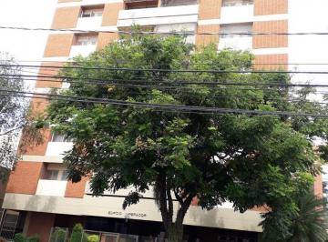 Apartamento de 3 quartos, Campinas · APARTAMENTO à venda CAMBUÍ 3 dormitórios px PADARIA RIVIERA, suite, 3 varandas