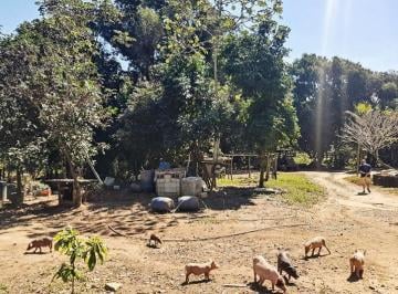Rural · 60m² · 2 Quartos · Sítio - Piranema