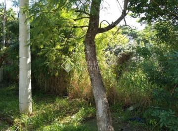 268445_i07u98ZWB30773yO7T3LU_2684455ccb26fc51d72.jpg · Terreno amplo no bairro Sarandi.