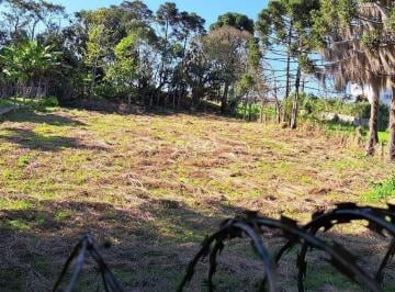Terreno · 2920m² · Excelente Terreno 2.920m² - Campo Largo