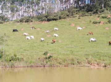 Rural de 3 quartos, Caçapava · Sítio à venda, Caçapava, 24.5 alqs, p/lazer, pequenas culturas, cachoeira, lago