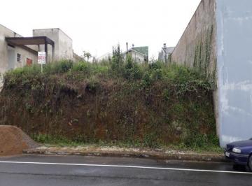 Foto 01 · Terreno com área de 450,00m²,  lugar tranquilo, a 4,00 km de Jaraguá do Sul, rua asfaltada, sem saíd