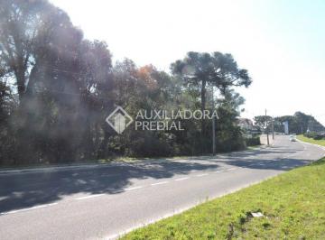 262128_iE357w46pS59qa_2621285bacda5c90eba.jpg · Terreno no bairro São José