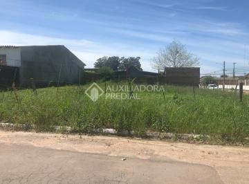 303714_i66031w063_3037145d9ce77f36508.jpg · Terreno no bairro Santa Rita