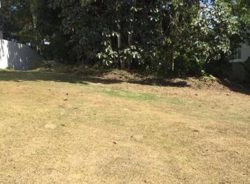Foto 46 · TERRENO À VENDA ALPHAVILLE I SALVADOR, VÁRIAS OPÇÕES A PARTIR DE R$ 2.255.000,00. AGENDE UMA VISITA!