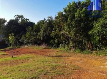 Foto 22 · TERRENOS À VENDA EM ALPHAVILLE SALVADOR I, A PARTIR DE R$ 2.550.000,00, VÁRIAS OPÇÕES EM TODAS AS PO