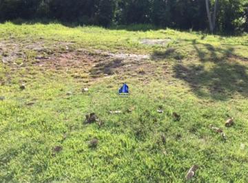 Foto 43 · TERRENO  À VENDA ALPHAVILLE I SALVADOR, A PARTIR DE R$ 2.330.000,00, VÁRIAS OPÇÕES EM TODAS AS PORTA