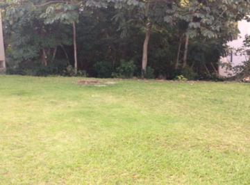 Foto 03 · TERRENO À VENDA ALPHAVILLE I, SALVADOR 1.200,00 M², VÁRIAS OPÇÕES, A PARTIR DE  R$ 2.430.000,00!