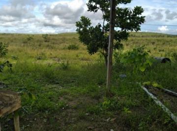Foto 02 · Fazenda, Macapá, Macapá, AP