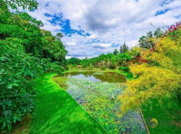 c69359869fa927d121f7eb0f26a4e745f808a493 · Sítio com 3 dormitórios à venda, 95000 m² por R$ 2.800.000,00 - Itoupava Central - Blumenau/SC