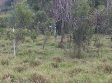 Foto 04 · Area, Rural, Artur Nogueira, SP