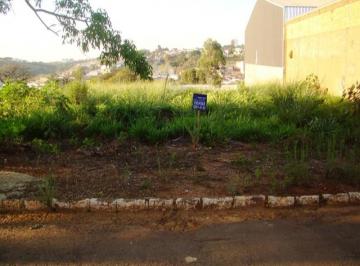 Foto 08 · Terreno, Residencial Teixeira, Alfenas, MG