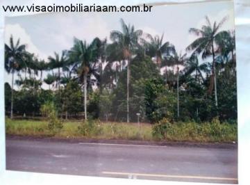 Foto 02 · VENDO SÍTIO 10 HA ESTRADA DE BALBINA PRESIDENTE FIGUEIREDO AM
