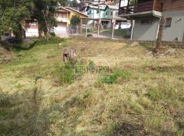 g1_641_15927_1745_141020.jpg · TERRENO EM BAIRRO JUNTO AO CENTRO