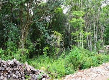 90668_i6YMOI_906685cc3b5592ec82.jpg · Terreno plano, 722m² privativos, loteamento novo em Gramado