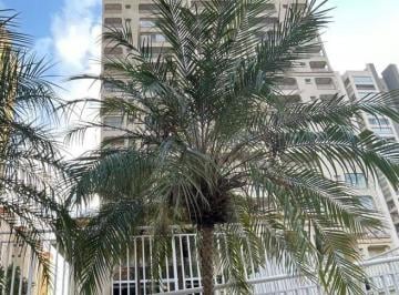 Apartamento · 77m² · 2 Quartos · 2 Vagas · Apartamento para locação, edifício Piazza Monet, 2 domitórios, varanda gourmet, Vila Ema, São J