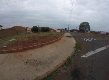 Terreno · 350m² · Terreno Padrão em São José do Rio Preto