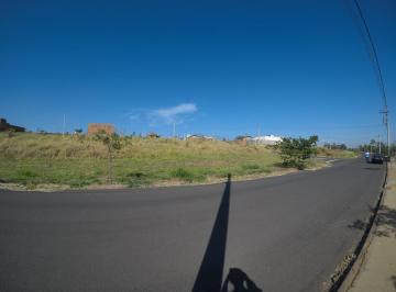 Terreno · 263m² · TERRENO - MENEZES IV / BADY BASSIT