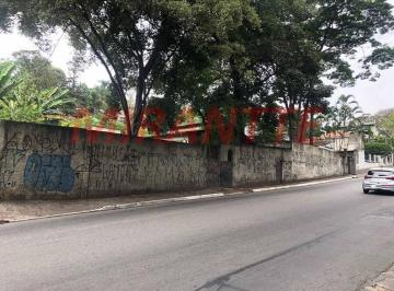 3e1e4d90e34ced4160b54efb0cdde421.jpg · Terreno de 1500m²